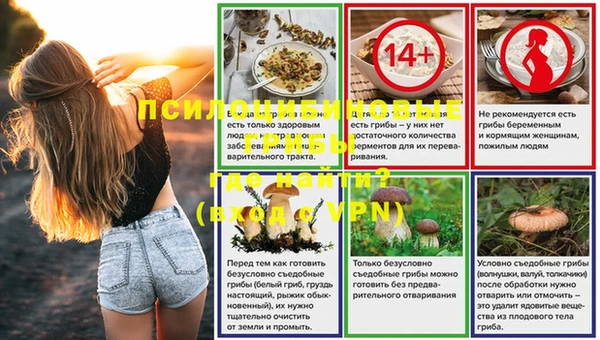 твердый Няндома