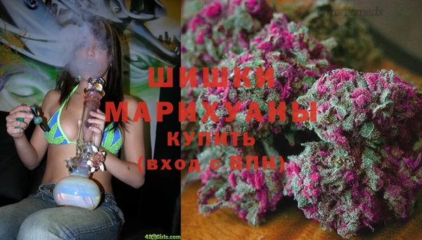 твердый Няндома