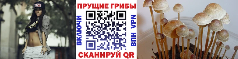 купить наркотики сайты  Черноголовка  Галлюциногенные грибы мухоморы 